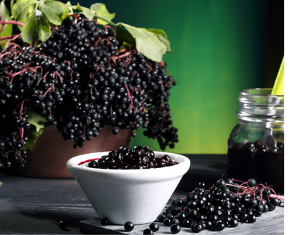 Elderberry - Natures' Gift