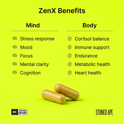 Calm Energy Bundle