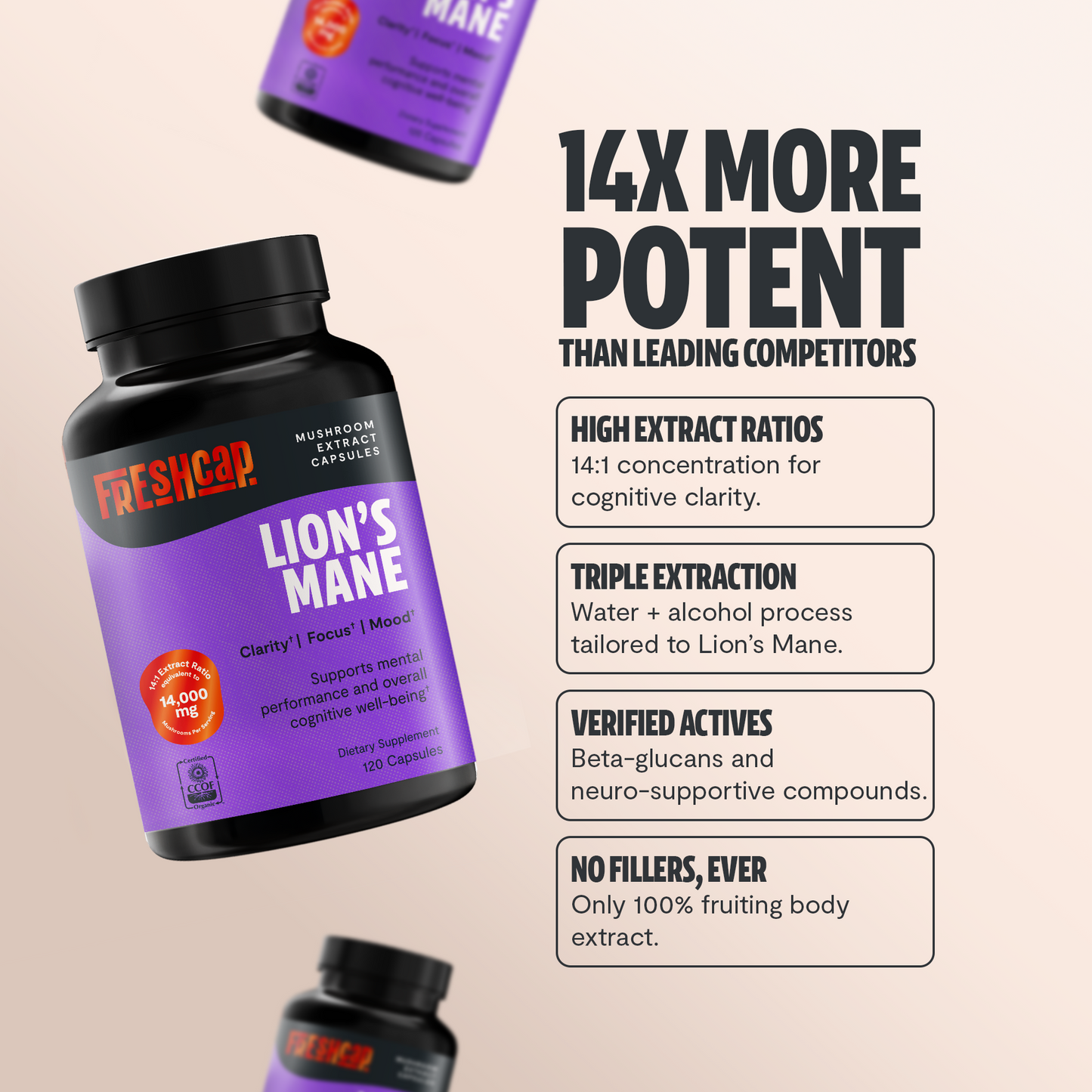 Lion's Mane Mushroom Extract Capsules